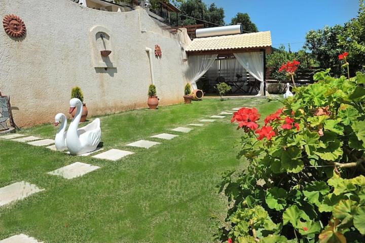 Villa Angela Panorama à Paleokastrítsa Extérieur photo